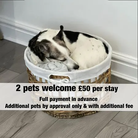 Siston Stables By Stae-homes Мини-отель