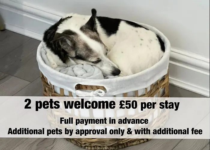 Siston Stables By Stae-homes Мініготель